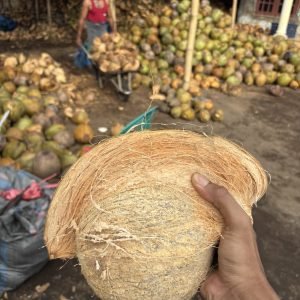 IMG_9664 - Raden Ikonansyah